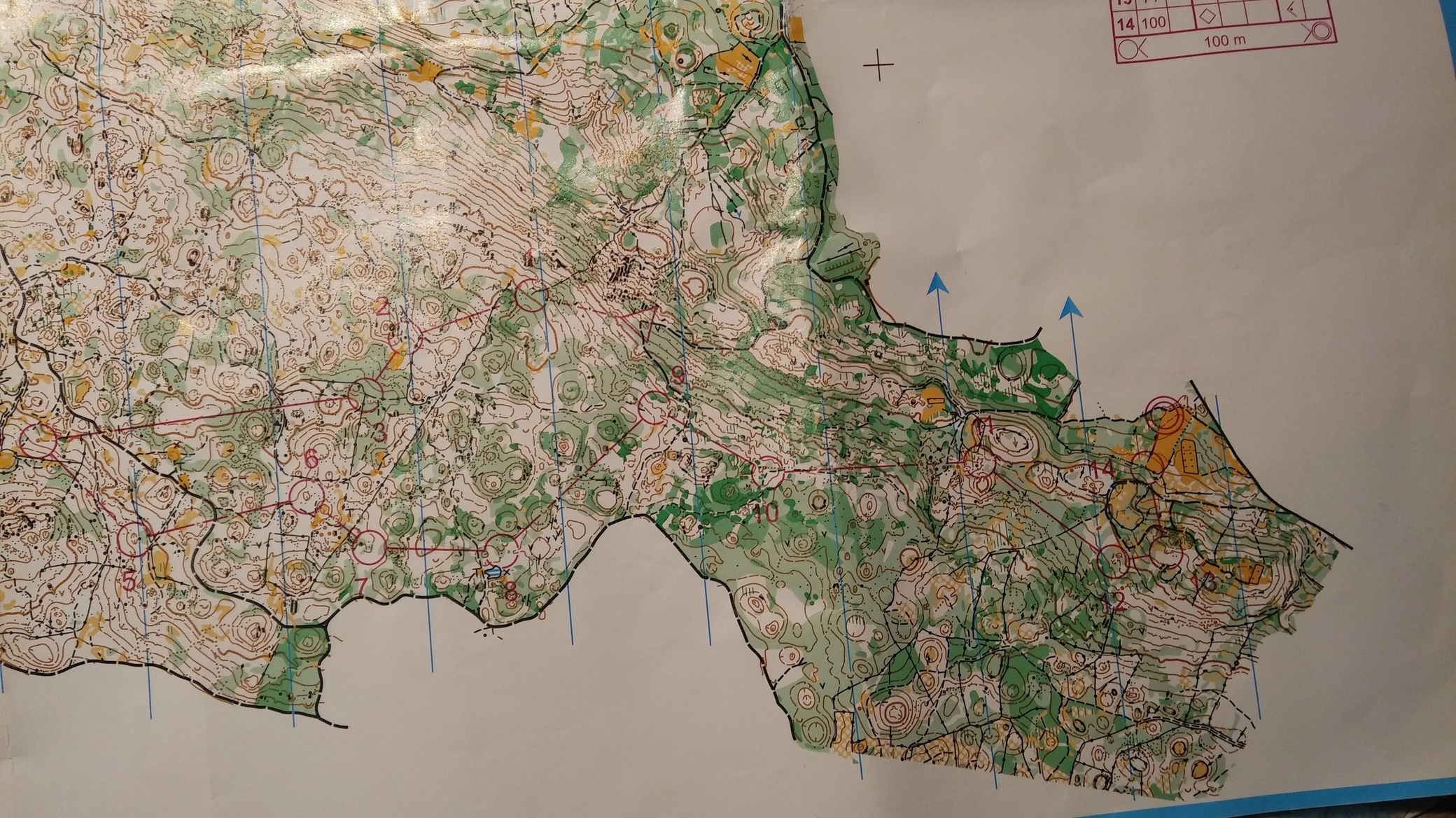 Lipica Open, day2 (12. 03. 2017)