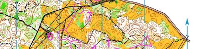 Alpe Adria Orienteering Cup - KIDS, M10, W10 - middle distance