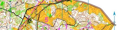 Alpe Adria Orienteering Cup - M12, W12 - middle distance