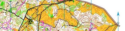 Alpe Adria Orienteering Cup - M14, W14 - middle distance