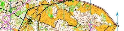 Alpe Adria Orienteering Cup - W55, M70, W65 - middle distance