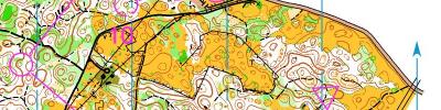 Alpe Adria Orienteering Cup - W21B, M65 - middle distance