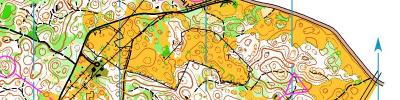 Alpe Adria Orienteering Cup - W18, W35, W21A - middle distance