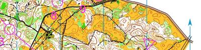 Alpe Adria Orienteering Cup - M16, M45, M50 - middle distance