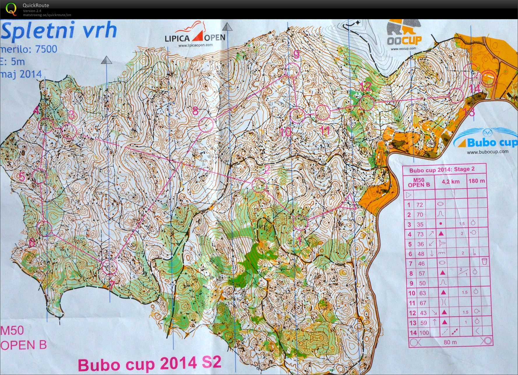 Bubo Cup 2. dan  (25. 07. 2014)