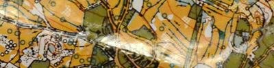 ZL11 Gropada