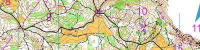 Cerkno Cup - 2015 - DAY 2 - W21E, M35, M21A